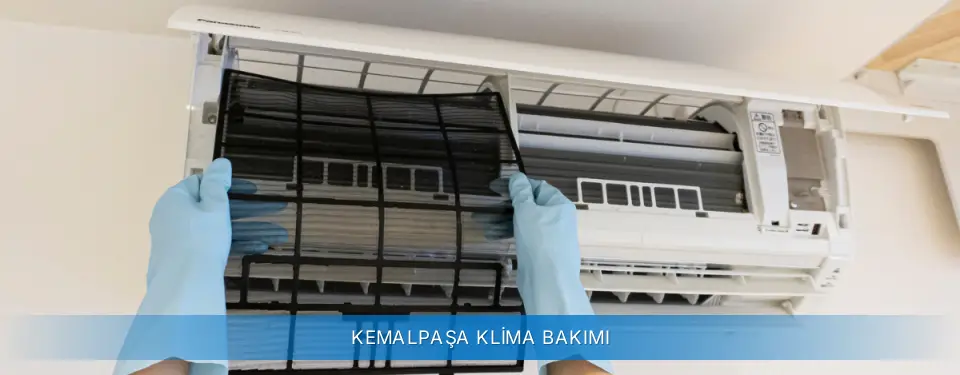 Kemalpaşa İlçemi Alarko Carrier Klima Bakımı
